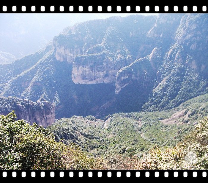 DSCF2661.jpg