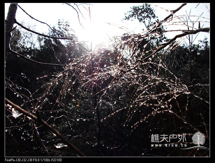 DSCF2309.jpg