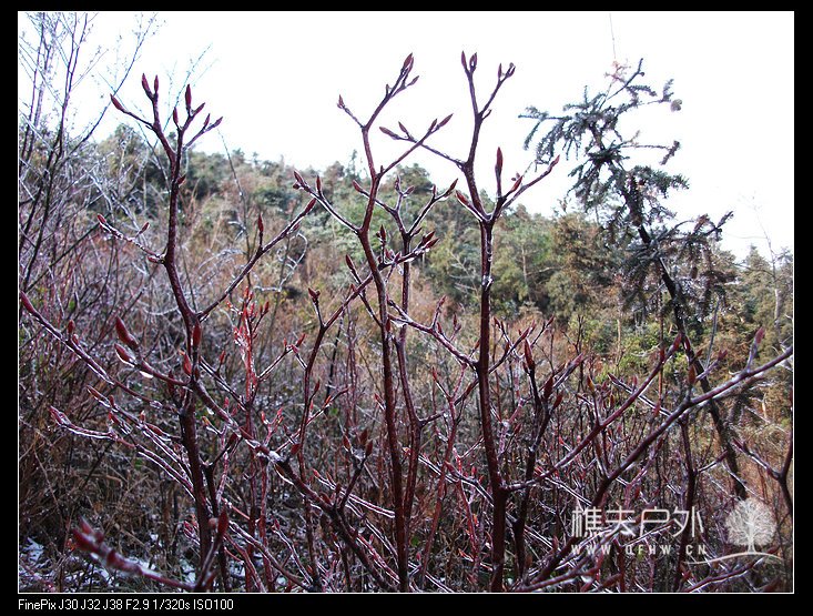 DSCF2325.jpg