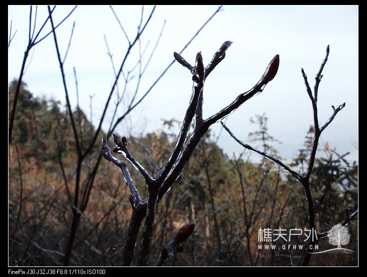 DSCF2328.jpg