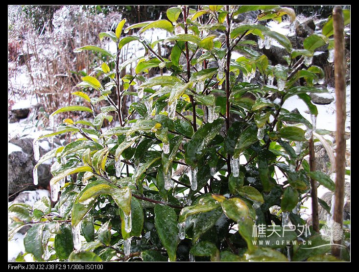 DSCF2418.jpg