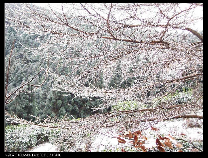 DSCF2432.jpg