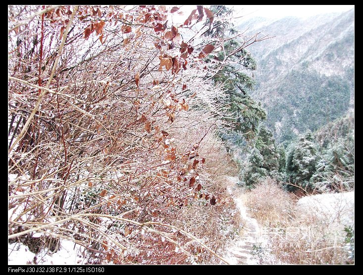 DSCF2434.jpg
