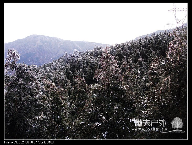DSCF2462.jpg