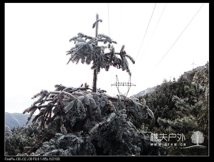 DSCF2469.jpg