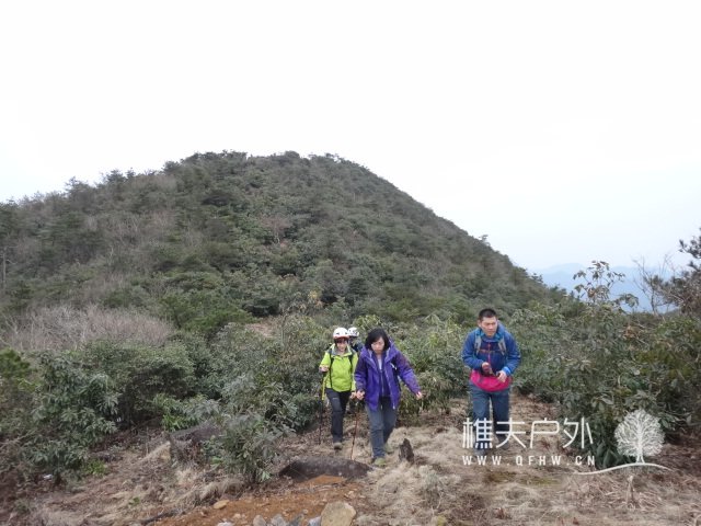 DSC01207.JPG