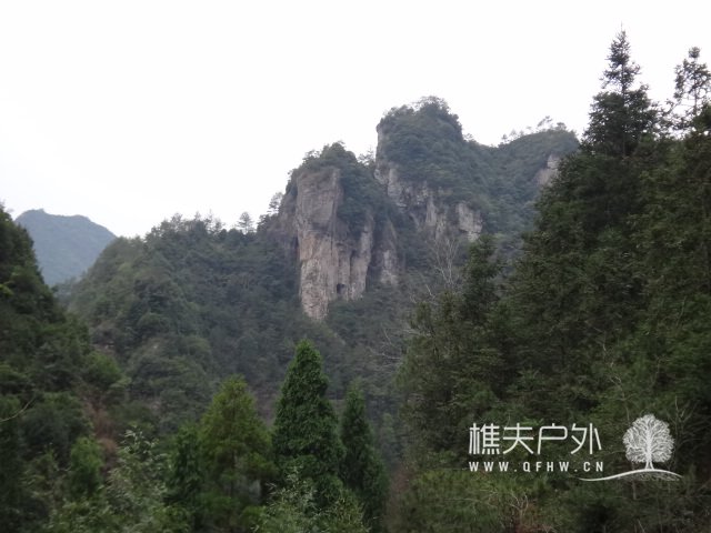 DSC01229.JPG