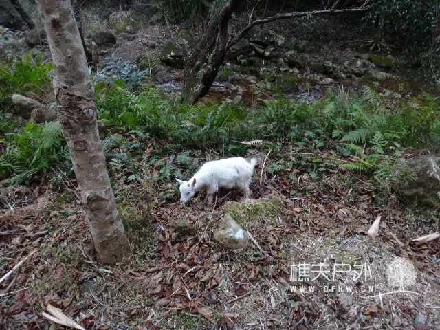 DSC01298.JPG