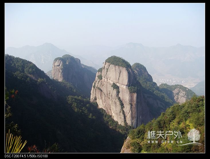DSC08103.jpg