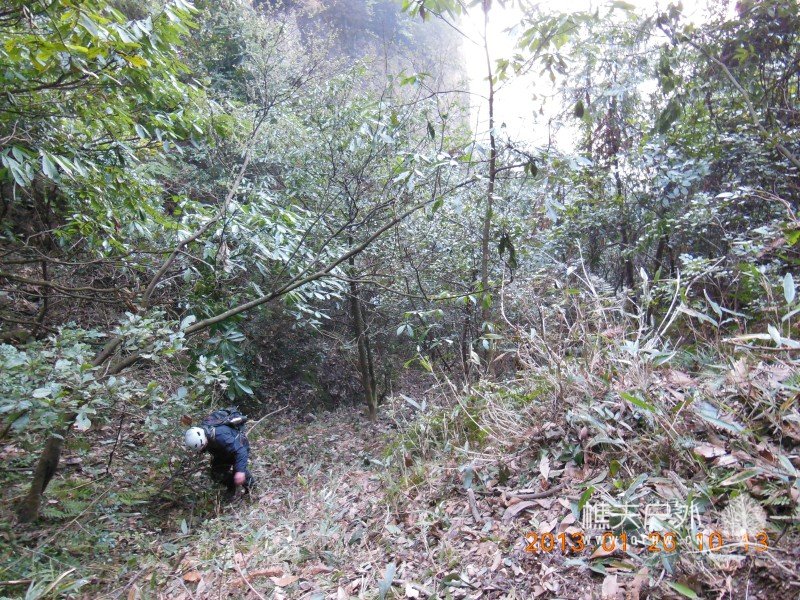 DSCN6840.jpg