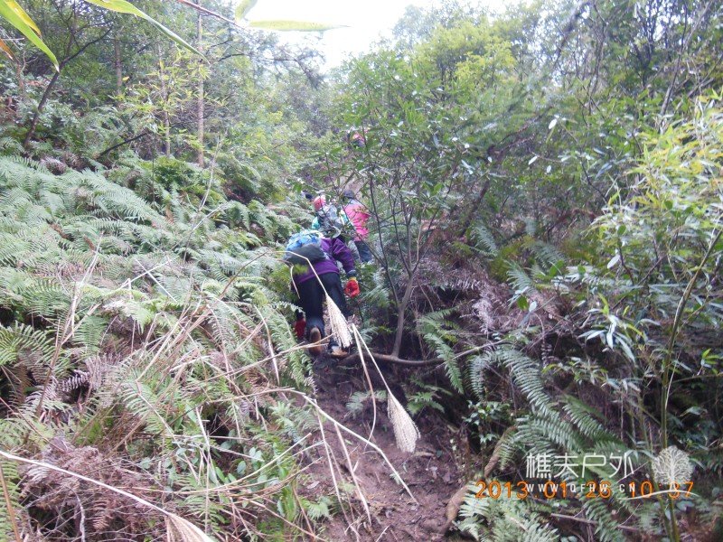 DSCN6870.jpg