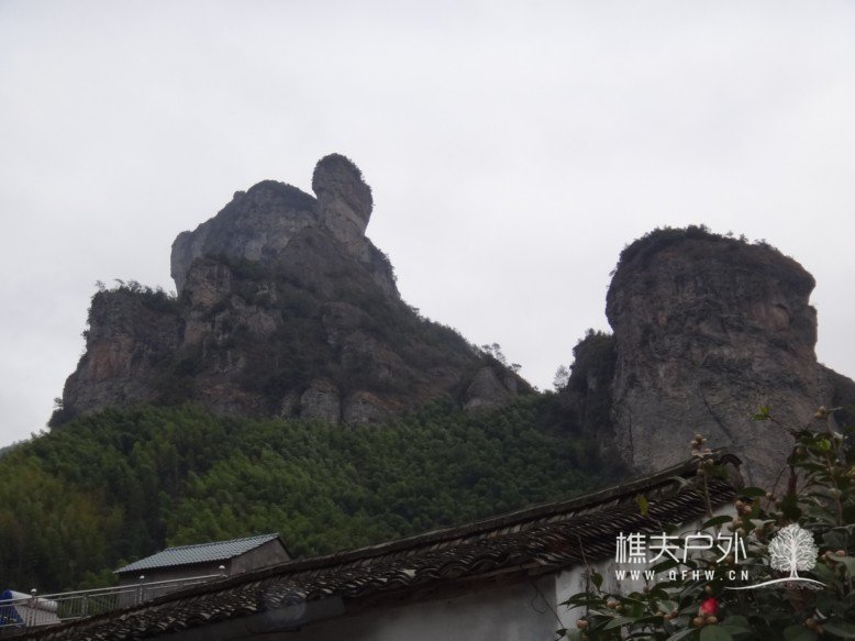 DSC01288.jpg