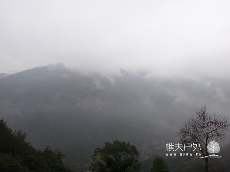 DSC02115.jpg