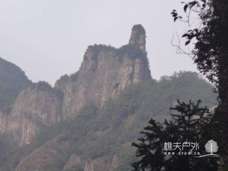 DSC02496.jpg