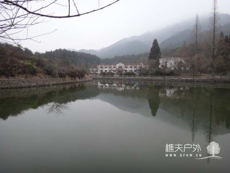 DSC03042.jpg