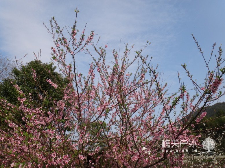 DSC03142.jpg