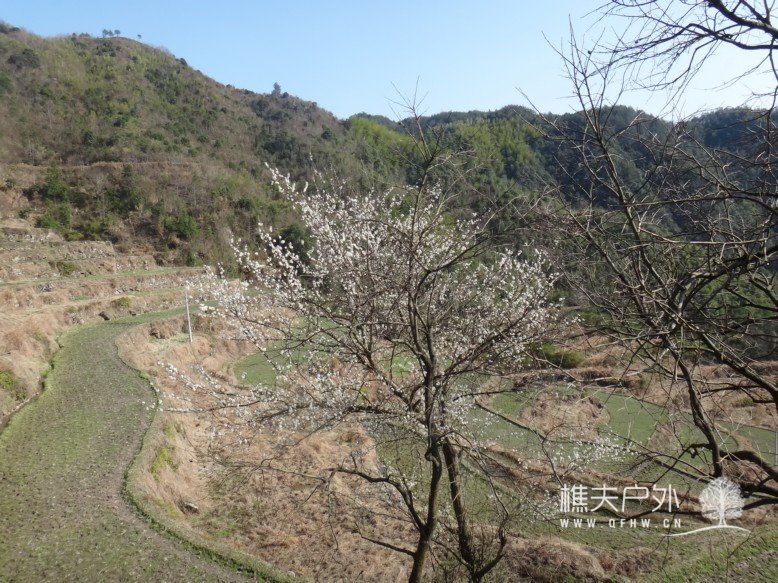 DSC03403.jpg
