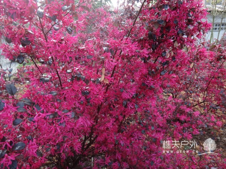 DSC03530.jpg