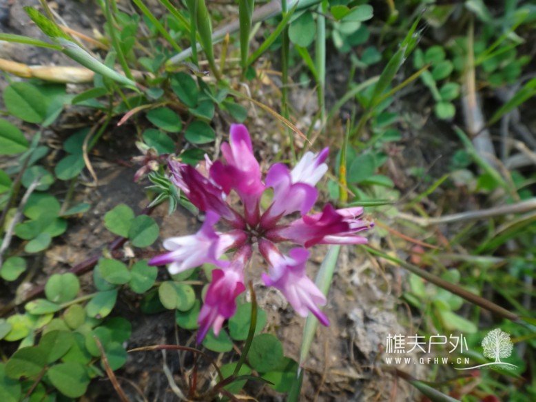 DSC03846.jpg