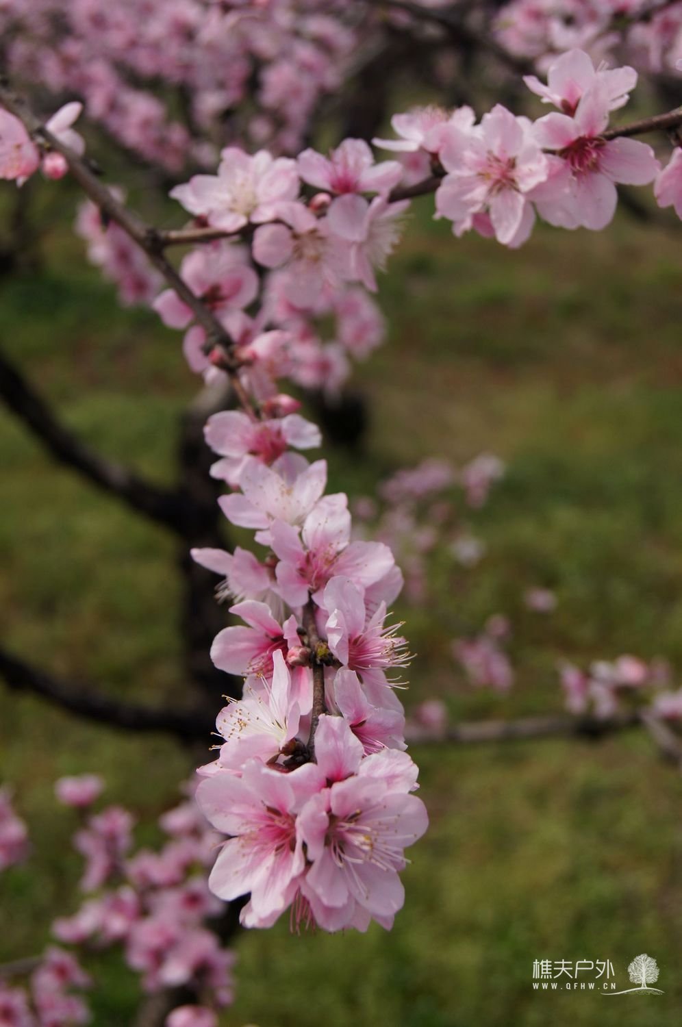 DSC05148.JPG