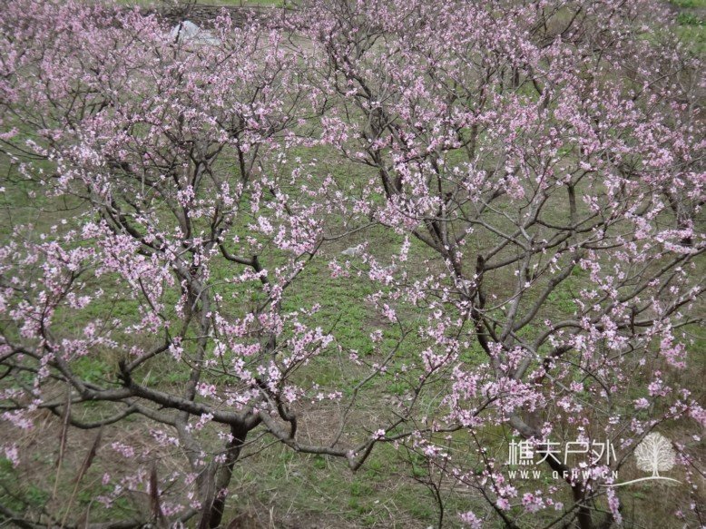 DSC04380.jpg