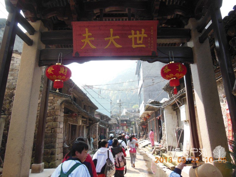 DSCN8785.jpg