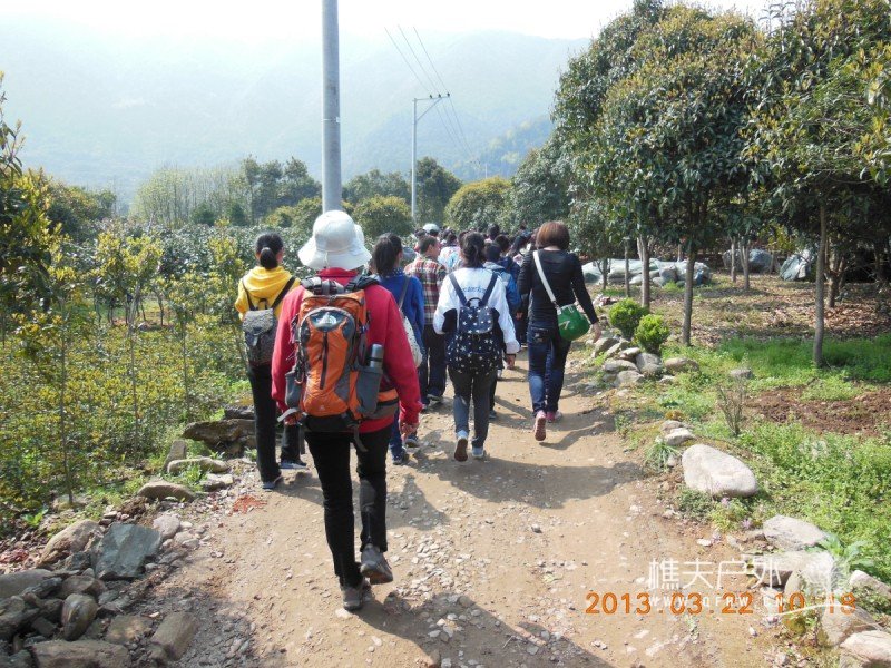 DSCN8792.jpg