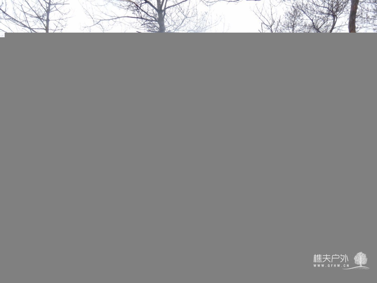 DSC04590.jpg