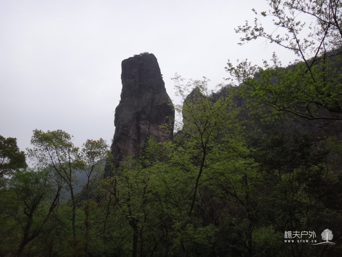 DSC04876.jpg