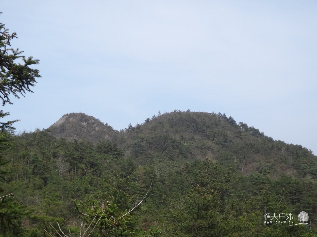 DSC05012.jpg