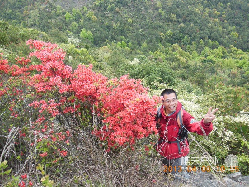 DSCN9034.jpg