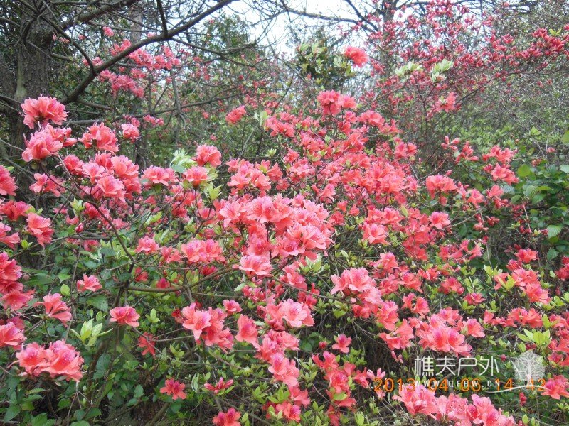 DSCN9147.jpg
