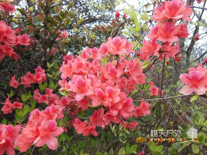 DSCN9150.jpg