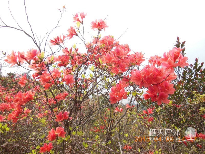 DSCN9158.jpg