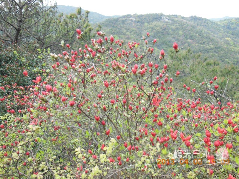 DSCN9183.jpg