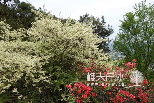 DSC05488.JPG
