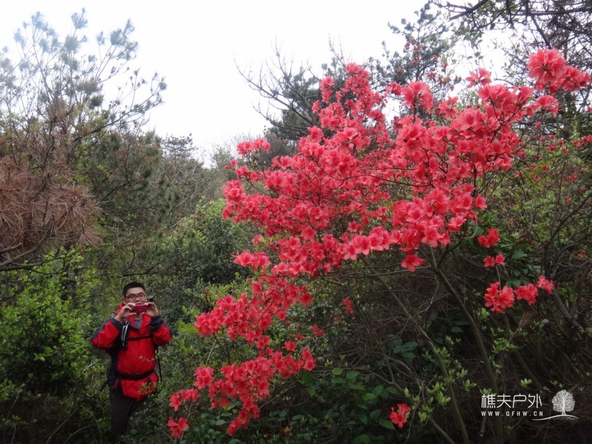 DSC05379_1.jpg