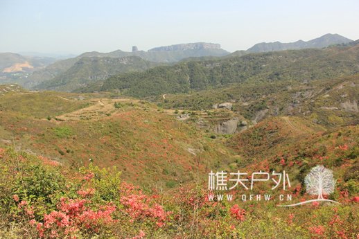 IMG_6092.jpg