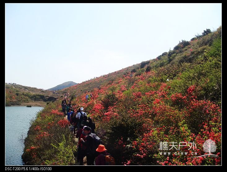 DSC08882.jpg