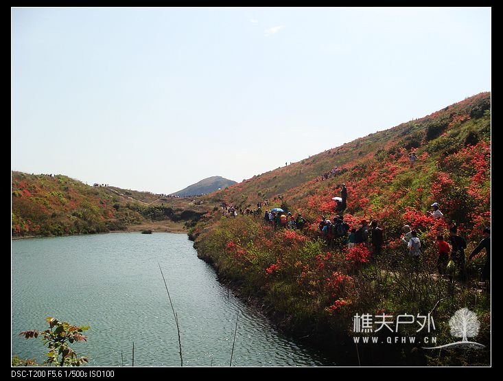 DSC08886.jpg