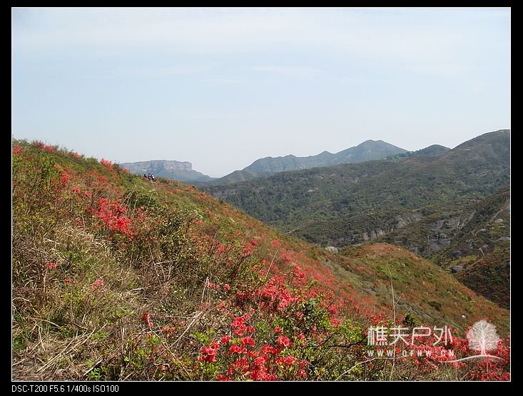 DSC08917.jpg