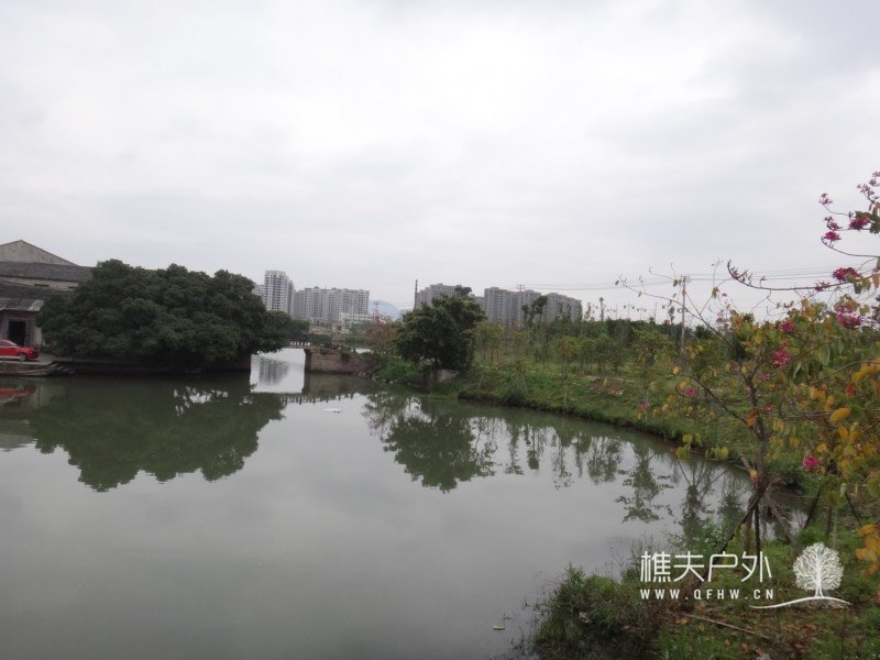 DSC05950.jpg