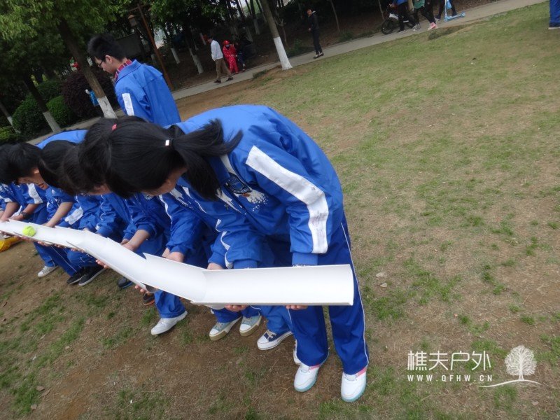 DSC06036.jpg