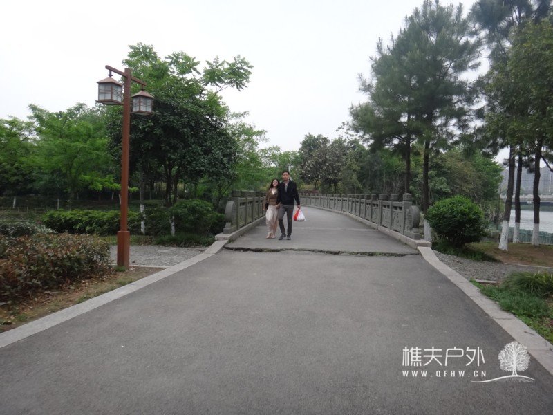 DSC06060.jpg
