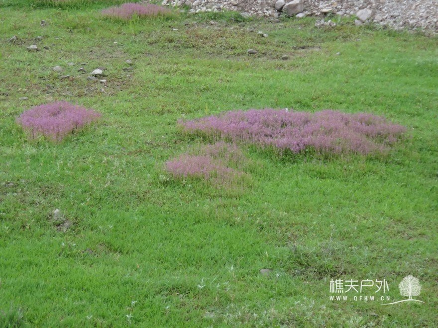 DSC06325.jpg