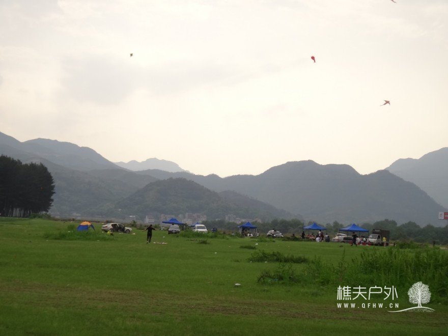DSC06475.jpg