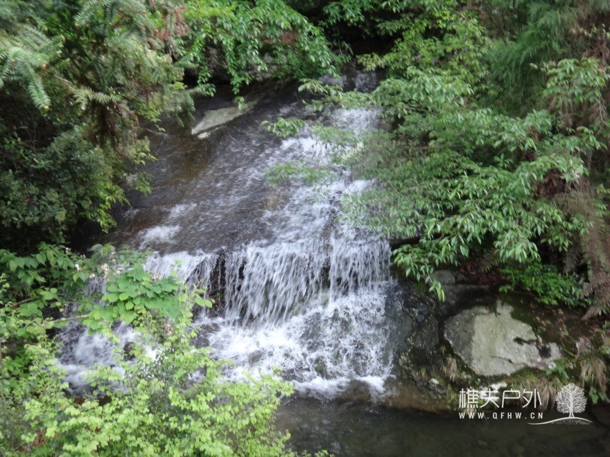DSC06785.jpg