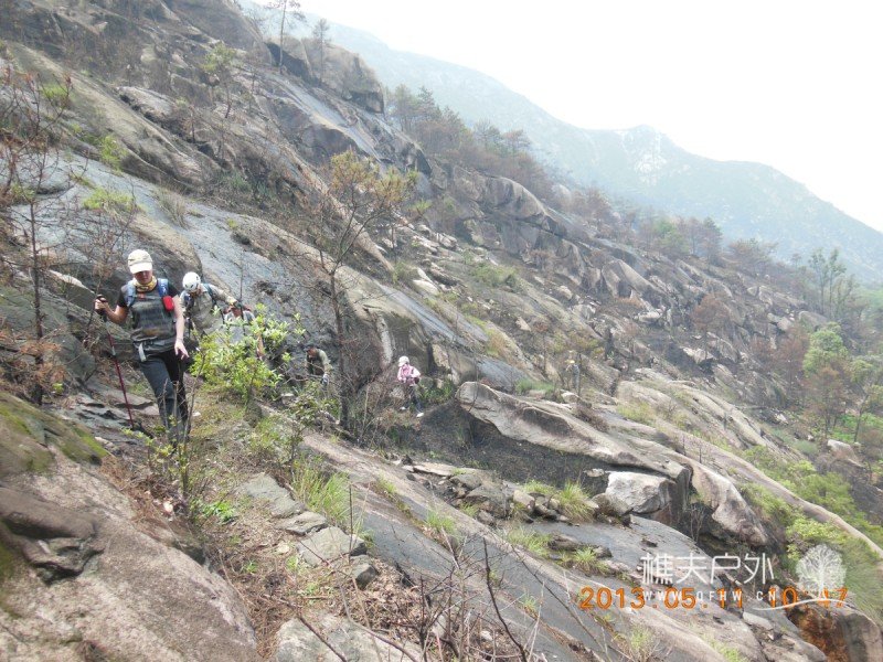 DSCN9784.jpg