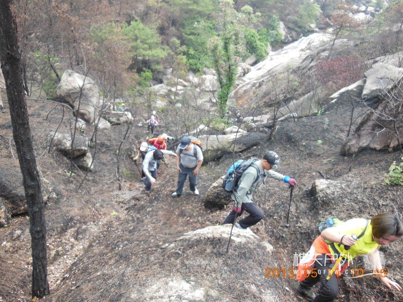 DSCN9785.jpg