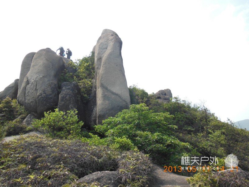 DSCN9868.jpg